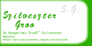 szilveszter groo business card